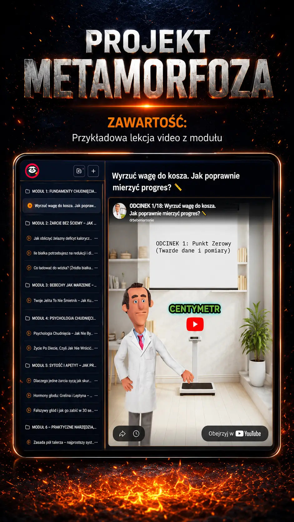 Zawartość projektu